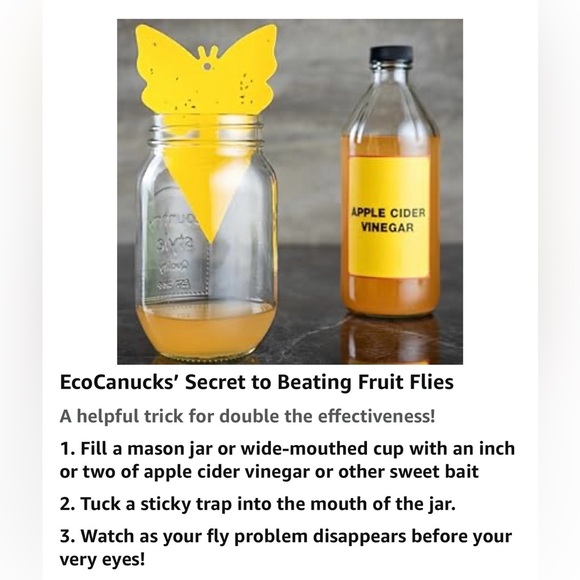 $2 Add-On 🆕Flying Insects Trap 3-Pack - Picture 6 of 16